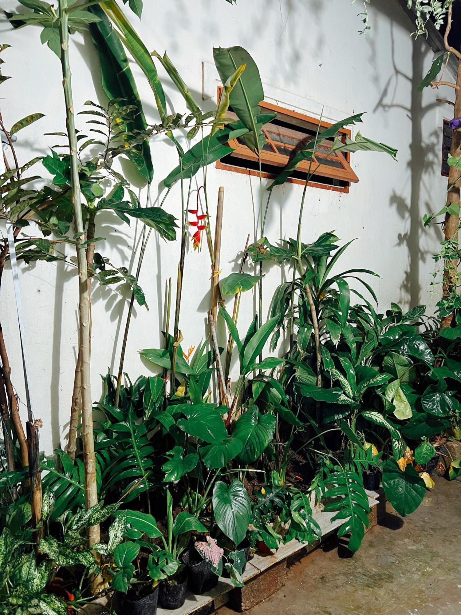 The Hue Homestay Ngoại thất bức ảnh