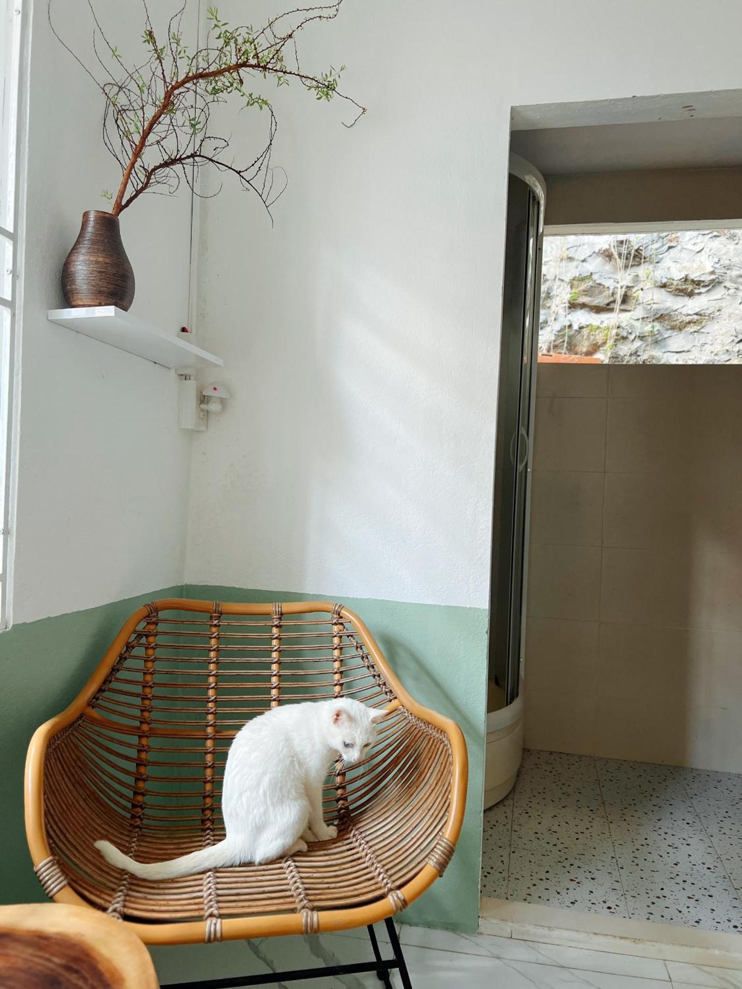The Hue Homestay Ngoại thất bức ảnh